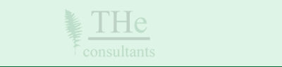 THe Consultants